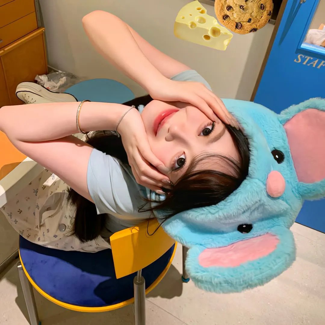 真菌王国第一季